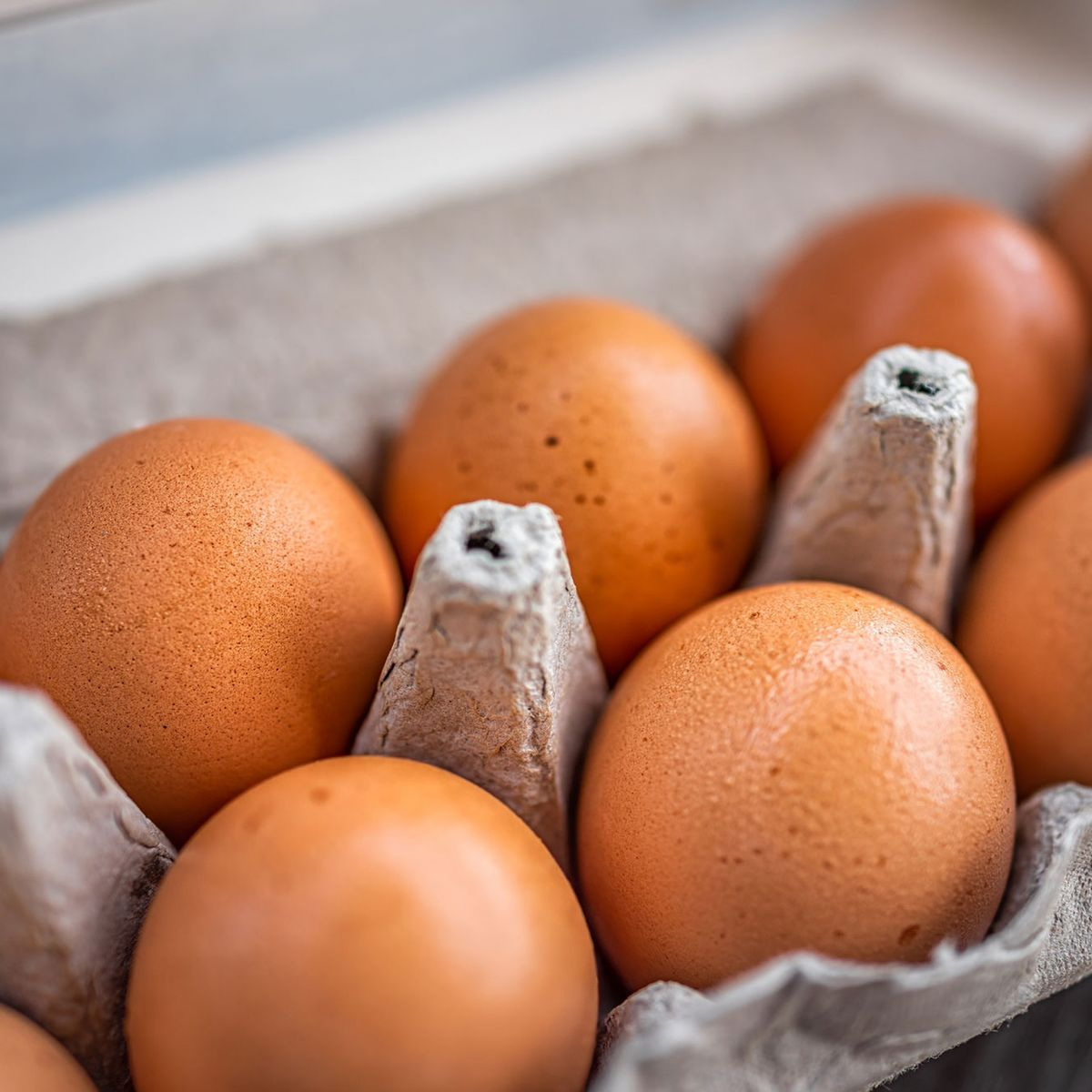 Children collecting eggs